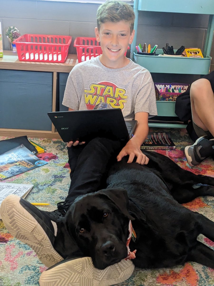 lewickiwolves's tweet image. How it started... How it ended. ❤️ We love us some Loxley in room 105. #packpride