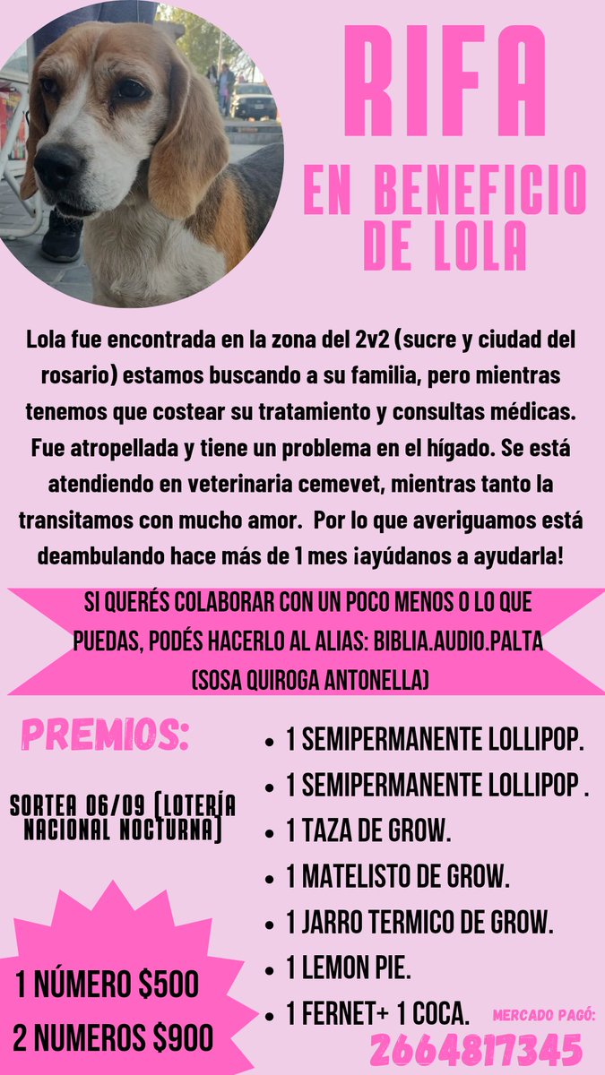 antososa16's tweet photo. Hola! Hace 2 días encontré a esta perrita tirada, estaba atropellada, con el hígado tan inflamado que parecía preñada. Lamentablemente tenia una familia que no la cuidaba y dejaba que se escape constantemente. Ahora necesita ayuda médica y para costearlo estoy haciendo una rifa. https://t.co/QrK9uTQQ9e
