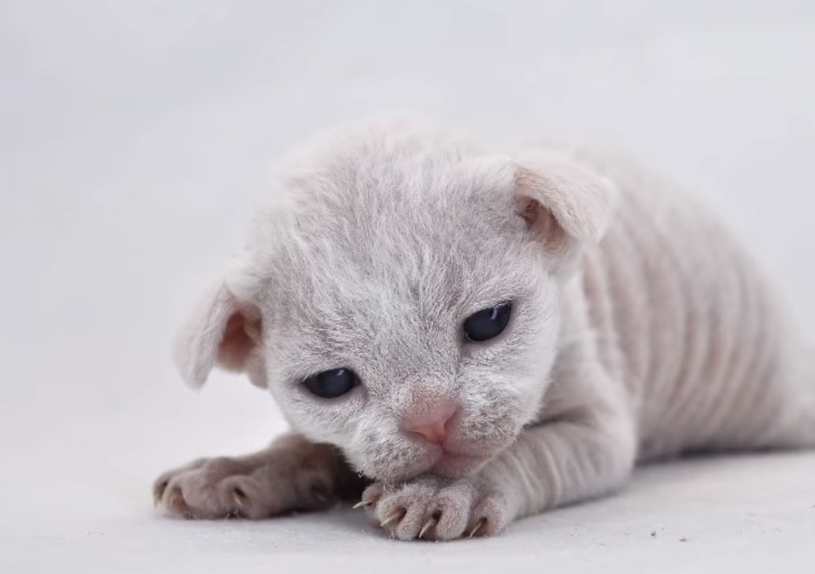 Ime   Sorri   Mine  frends  fore   Not pousting...    da   Wouibsite is   Bad now