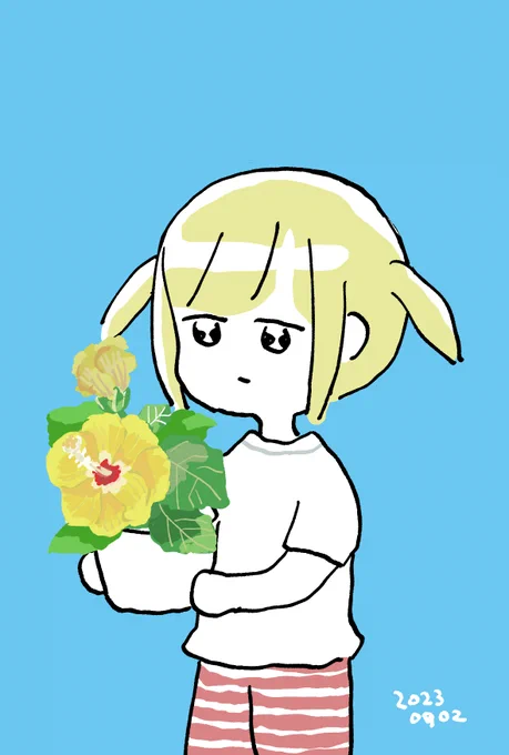 この夏、農協で買ったハイビスカスがたくさんつぼみをつけては開き、くしゃくしゃになっていく姿を見るのがとても楽しかったです。まだつぼみが膨らんできているので、もう少し咲いてくれるみたいです。ありがとう。 