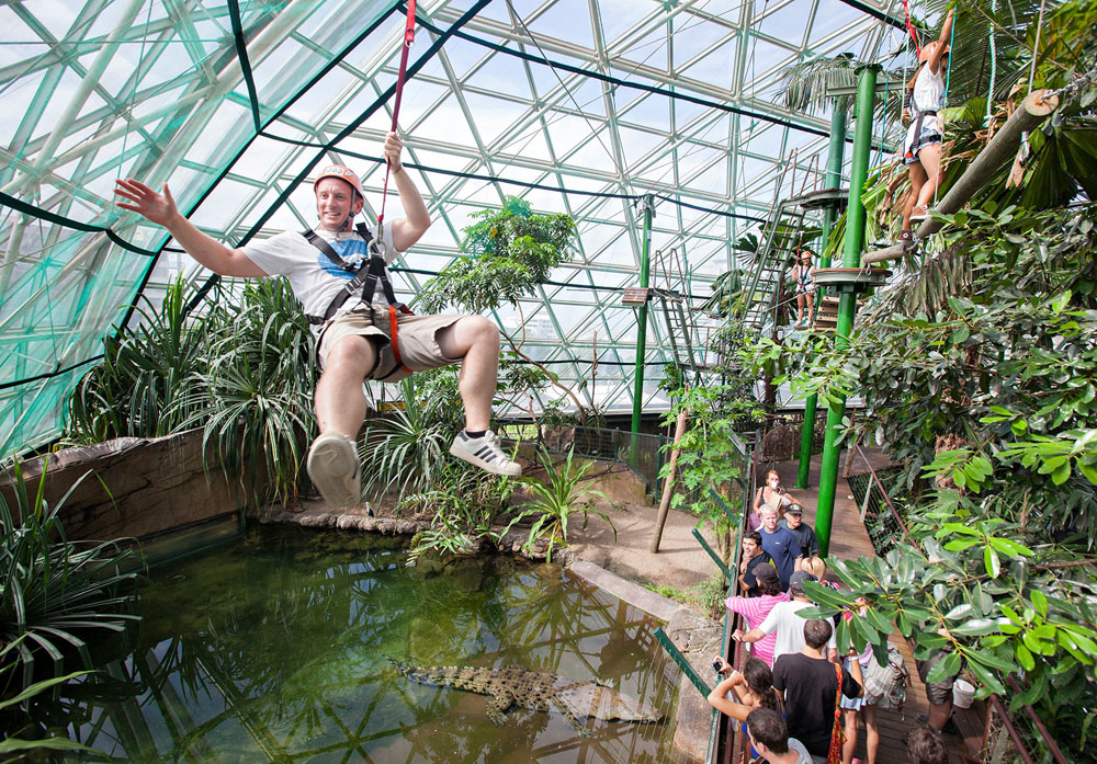 ONE of the top tourist attractions in Cairns that has been forced to close for maintenance reasons may return. cairnslocalnews.com.au/latest-news/al…