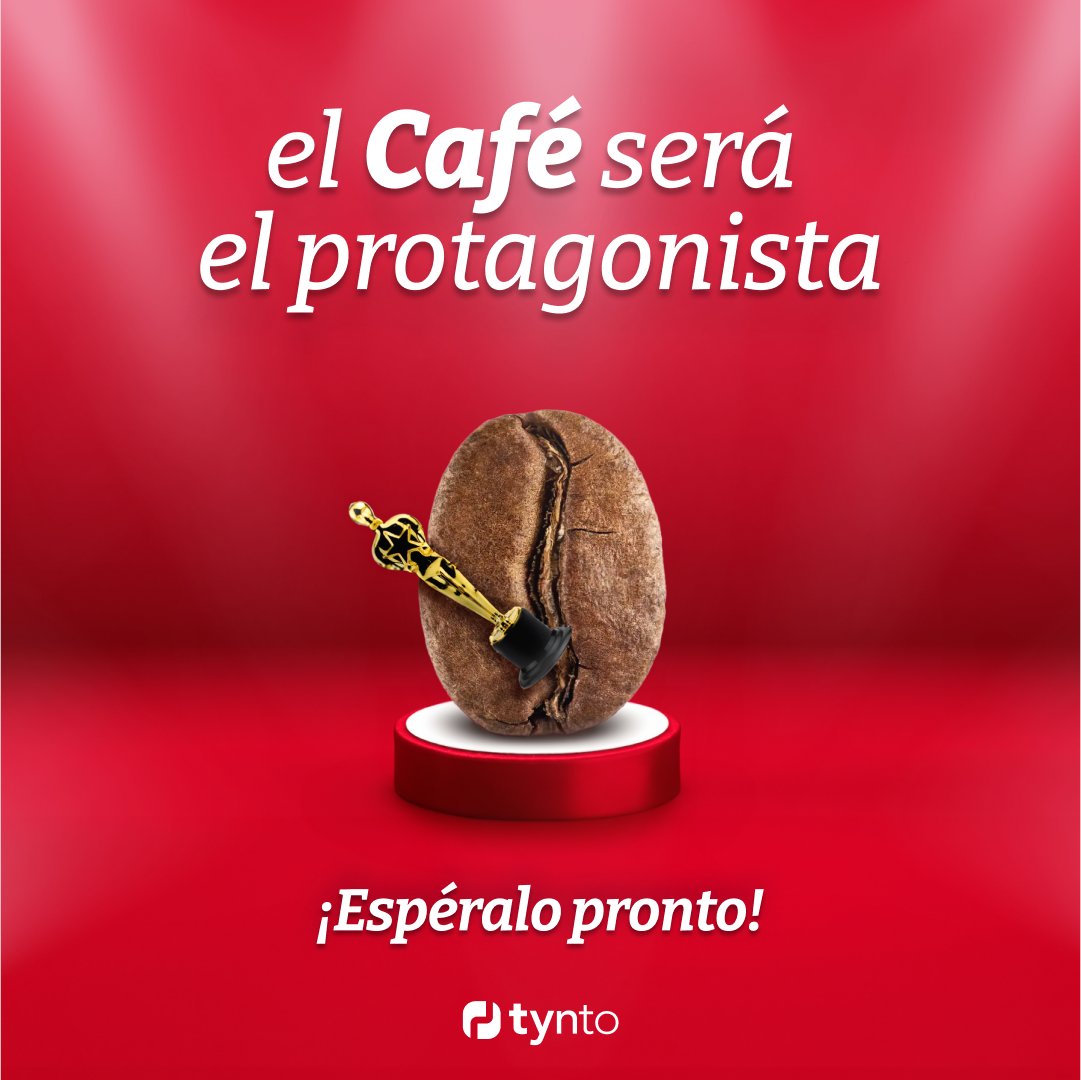 tynto.co tweet media