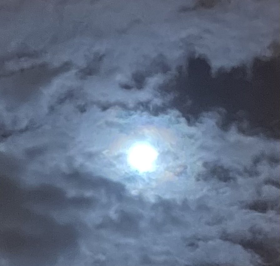 FrannieB1010's tweet photo. Finally appeared through the clouds at 3.15 am. Well worth the wait #bluesupermoon https://t.co/KlmYQDujWv