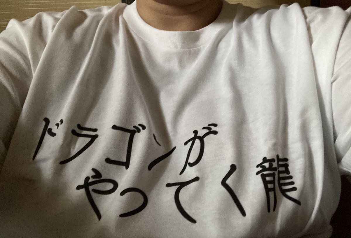 rikitauko's tweet photo. ドラゴンがやってく龍
唯一無二、世界に一つのTシャツ。
部屋着だ!
#ABCDYY https://t.co/osfqniRcb5