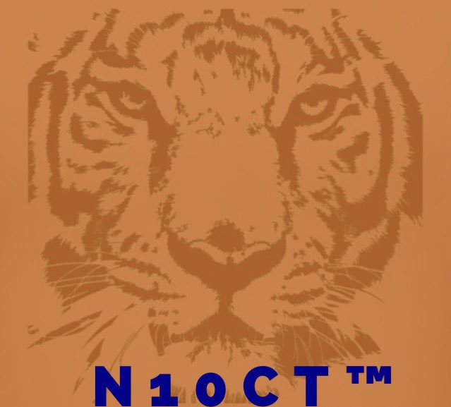 N10CT's tweet photo. COMING SOON!!!  A NEW N10CT™ with FOOTBALL 🏈 

Wishing N10CT™ &amp; the Auburn Tigers, a most intense football season and… 
“Remember the key” to play with Tiger N10CT™ (intensity) ! #WarEagleN10CT™ #N10CT™ #AuburnTigers https://t.co/4i5aW4LqFv