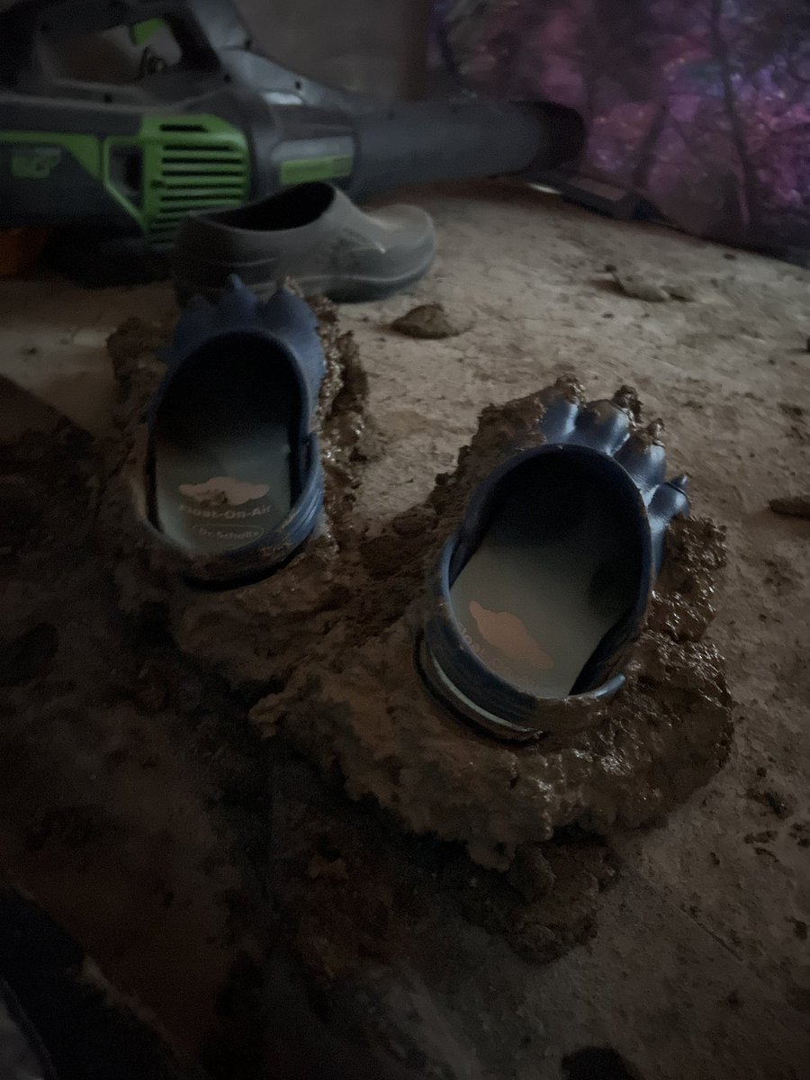 🌙 Maly 🌧️ tweet media