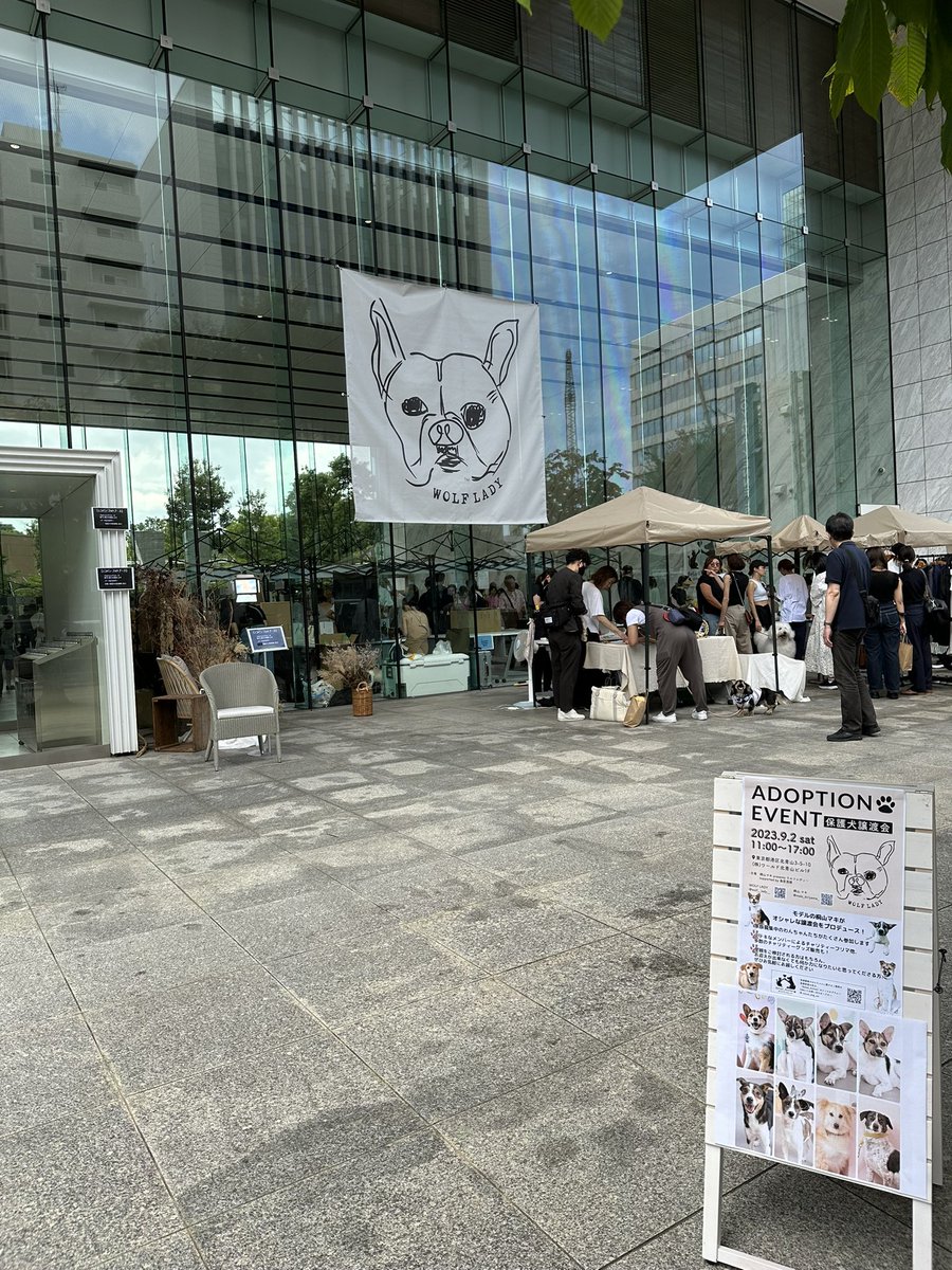 toripkabu's tweet photo. 本日17:00まで北青山ワールドビルにて保護犬達の譲渡会やっています。
お近くにいる方達はふらっとお立ち寄りください。 https://t.co/FEM3mNi0oT