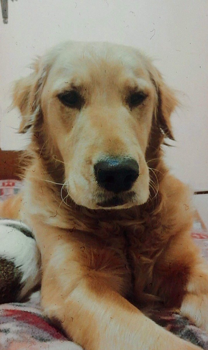 camidandr's tweet photo. Para siempre, mi puru❤️‍🩹 https://t.co/K1VysNJzBj