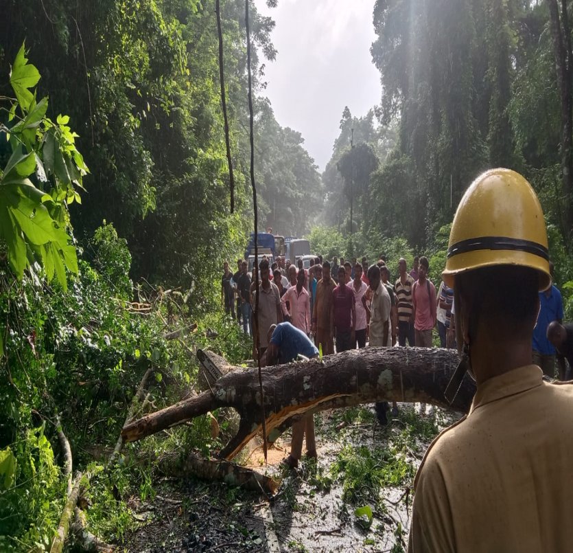 FireService_ANP's tweet photo. Due to heavy rain and squally wind a large tree fell down on ATR road near Kishori Nagar,Diglipur on 01.09.2023. 
 
Firefighters of #FSKalighat – swung into action,removed the tree and restored smooth flow of traffic. 

Commuters Appreciated the action of Fire 🔥 Personnel. https://t.co/L8FYxwJ35a