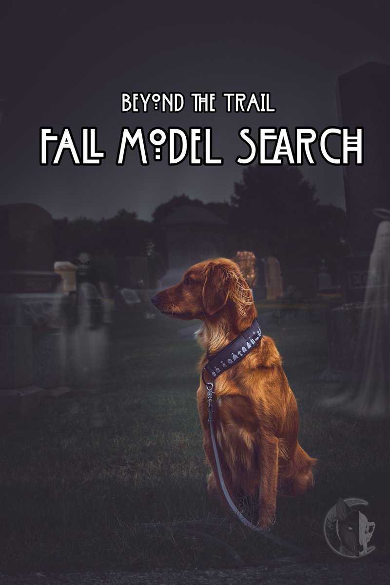 Beyond the Trail | Nicole tweet media