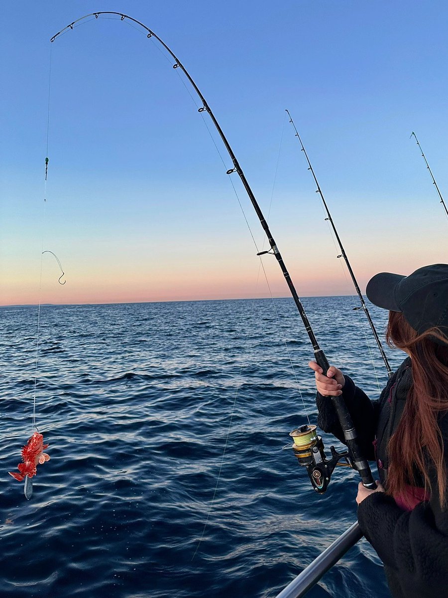 VeraaaYang's tweet image. Acute people must not be suitable for fishing. You must be quiet to realize the joy of fishing.