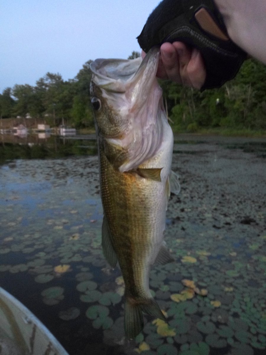 SportsCarFishin's tweet photo. Today was a great day for fishing. Here's the highlight fish. https://t.co/1w0UdQvVGq