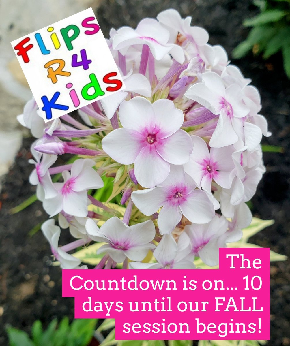 FlipsR4Kids's tweet photo. https://t.co/Rs0wg5aMze
