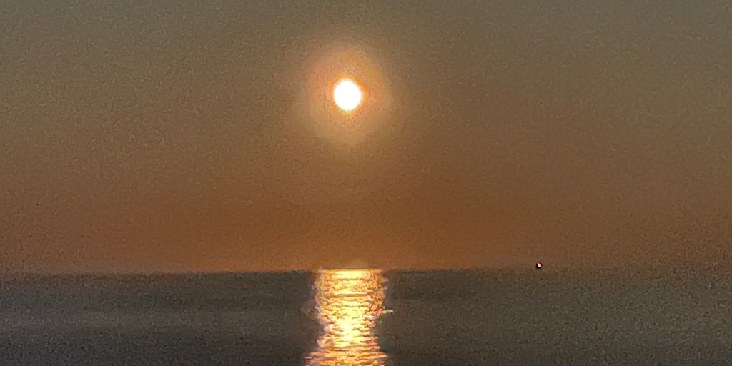 MVJBSummerfest's tweet photo. Good night moon over #TheVineyard… See you Saturday, September 2, for #TheVibe at the Martha’s Vineyard Jazz and Blues Summerfest with Camille Thurman and The Darrell Green Quartet, and SAGE, Sounds of A&amp;R, and Uptown Royalty NYC. Always #TheView.
https://t.co/IO4K5ZTYdT https://t.co/MSriGo9p4x