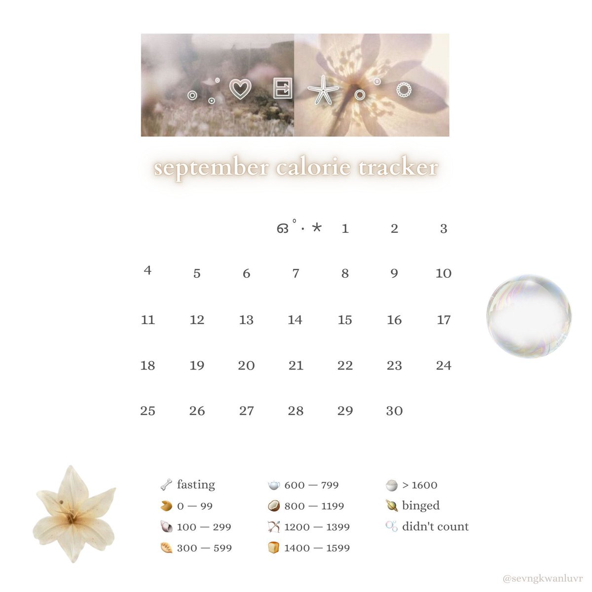 M1NG1LB's tweet photo. ✧˖*°࿐      accountability
september thread !! https://t.co/doevnnGPsD