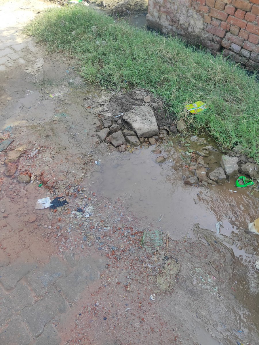 sk prajapati tweet media