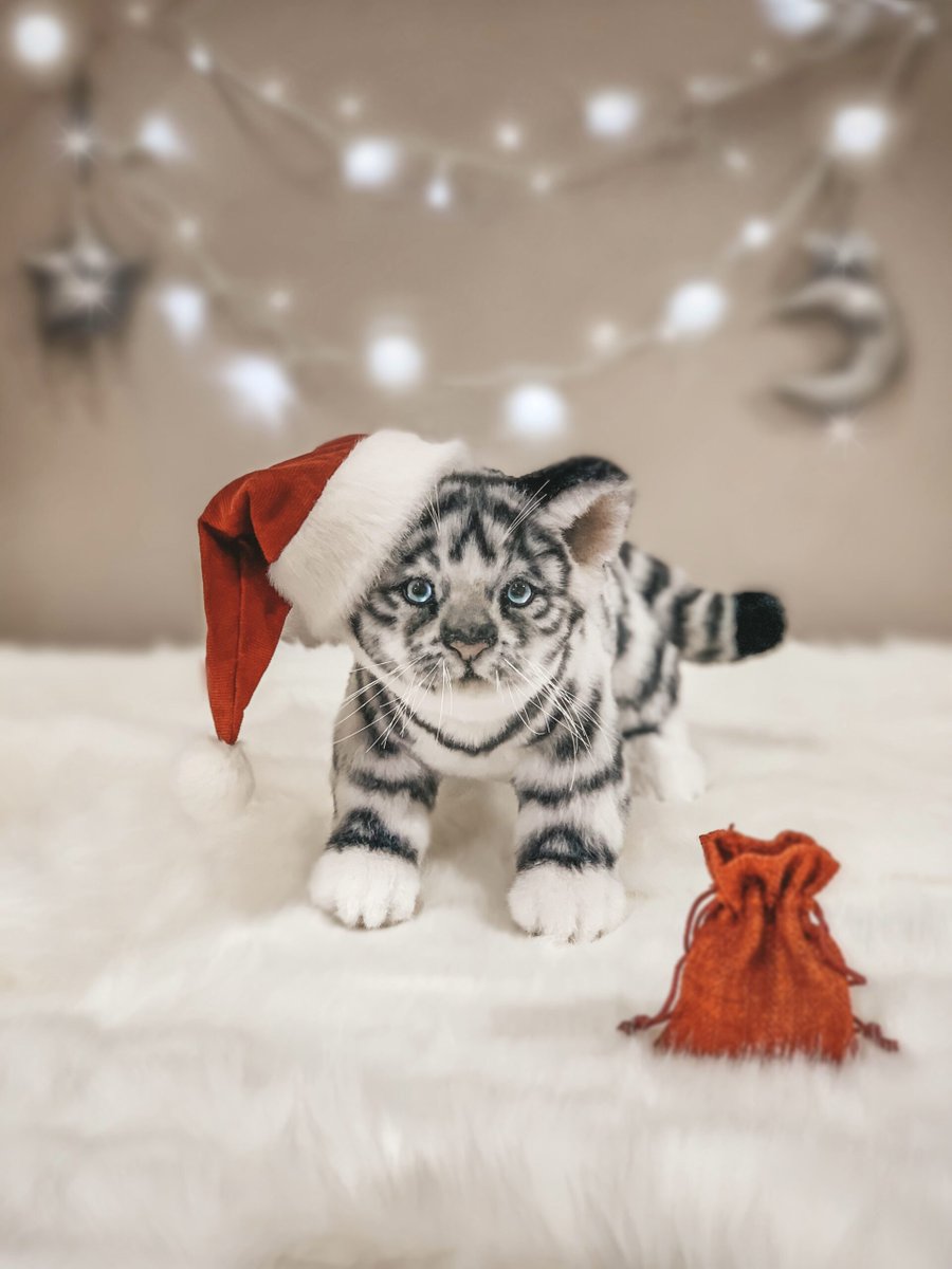dailydollshop's tweet photo. White tiger cub toy
https://t.co/qAJttVs3EM
#dailydollshop #dailydoll #texstildoll #ooakdoll #realisticdoll #bjd #bjddoll #ooak #handmadedoll #sculpture #christmasgift #artdoll #wizardofoz #stuffeddoll #eastergift #boudoirdoll #woodendoll #papiermache #tilda #doll #Tigers https://t.co/RuxsXAReYZ