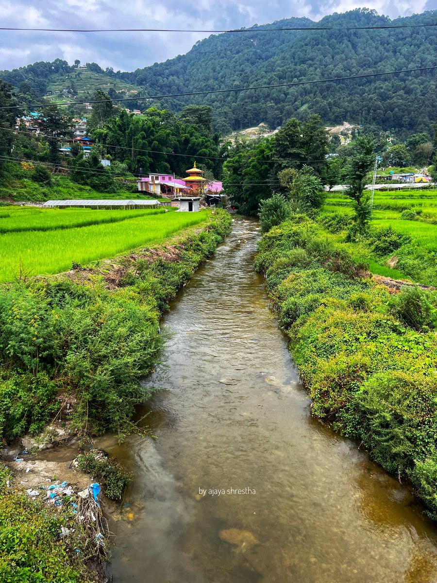 ajastha95's tweet photo. शनिबारे रमीता ❤️
#OrganicSeptember #green #nature #bagmati #rivercorridor https://t.co/056qrS1zXQ