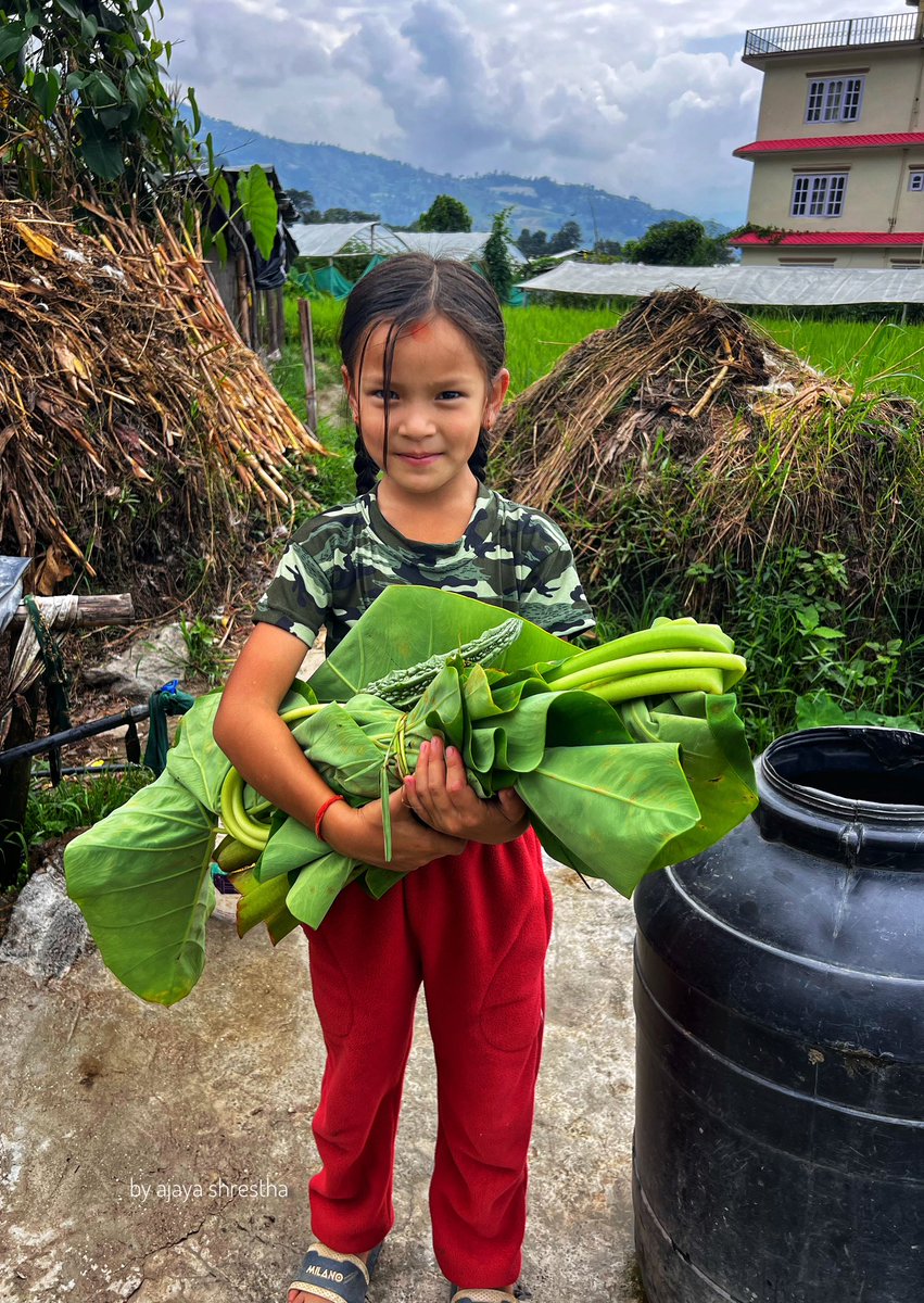 ajastha95's tweet photo. शनिबारे रमीता ❤️
#OrganicSeptember #green #nature #bagmati #rivercorridor https://t.co/056qrS1zXQ