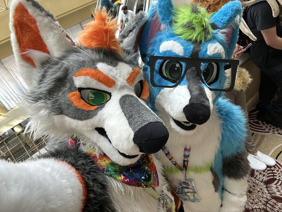 I forgot #FursuitFriday. Damnit. Have two cute dorks. 

🧡/📸: <a href="/ZukiCurl/">🐾 Zuki Curl @Home</a>