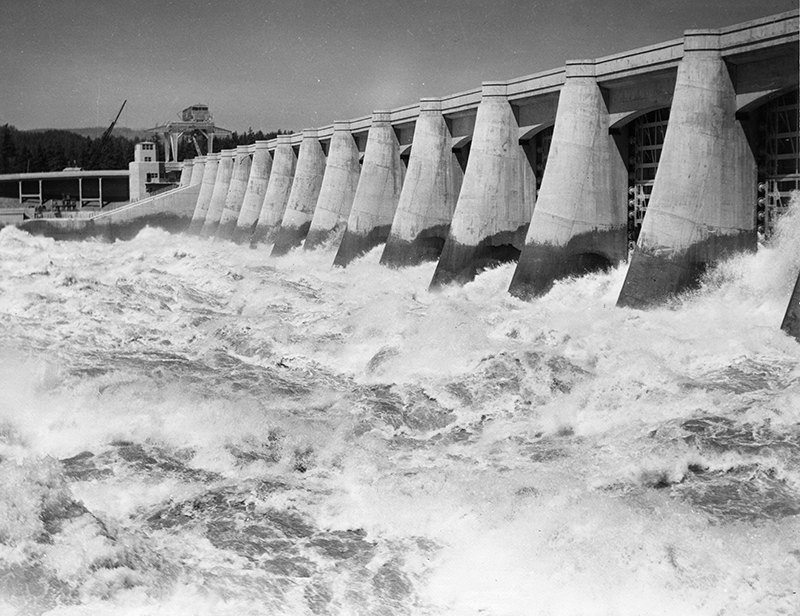 LRonLacy's tweet photo. #OTD in 1938
Spillway of the Bonneville Power Dam, Columbia River, Oregon. Public Works Administration Project, U.S. Army Corps of Engineers
2 Sept., 1938
#PublicWorksAdministration #PWA #TheNewDeal #BonnevilleDam #ColumbiaRiver #blackandwhitephotography #USArmyCorpsofEngineers https://t.co/cX5jIvDZlz