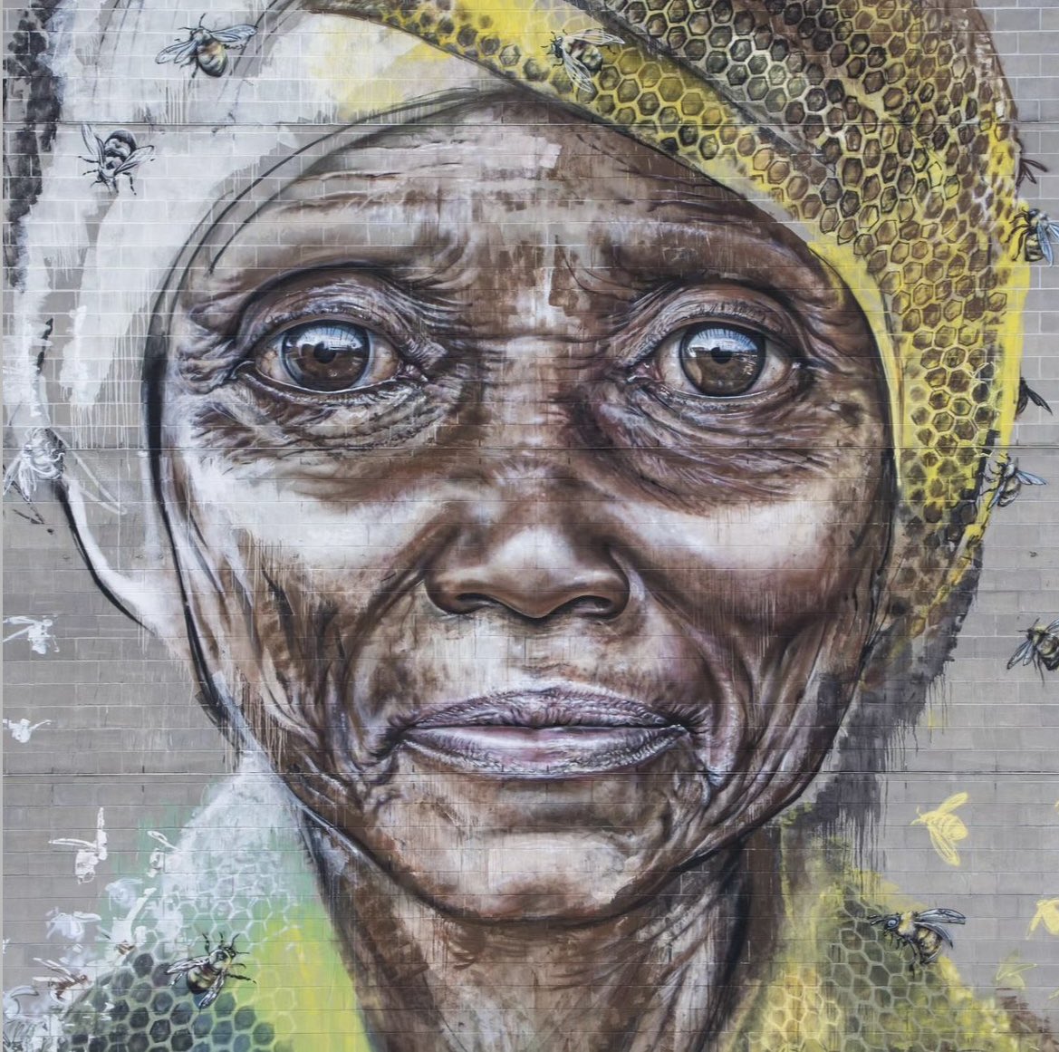 StreetArtMkind's tweet photo. Sharing our new #climateactionmural by HERA in Washington DC! This mural created in partnership with @GermanyinUSA pays tribute to the vital role of women in climate action.
Join us for the unveiling on Sept 15 at 5:30pm. https://t.co/LpihI618ab
#ActforClimate #ClimateChange https://t.co/6SrRht9AGF