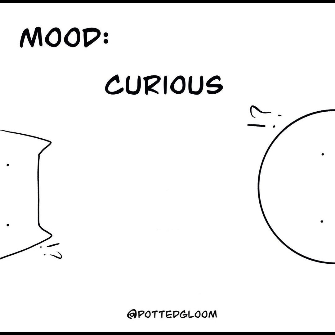 TarzanDan's tweet photo. On this #GINGERCATDAY, I am a huge fan of the @PottedGloom cartoon as it literally is my life with my cat Montgomery. The artist was doing a "mood" series & you had to submit a photo & I called it CURIOUS. I found out tonight she made a cartoon out of it ! ENTIRE MONTH MADE !🤓 https://t.co/JbaL7Rw4HU