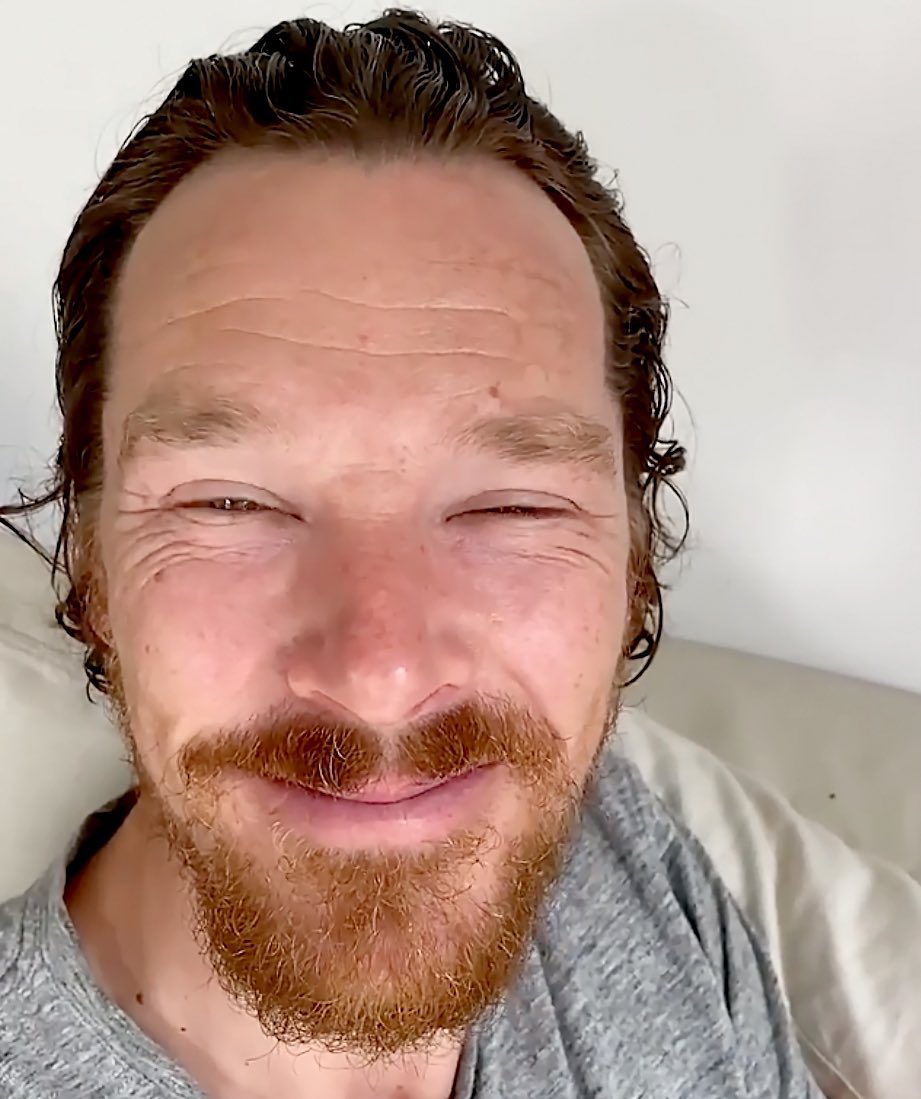 dmellieon's tweet photo. #SmileyBatch cat smile https://t.co/Nd7yTh0eOS