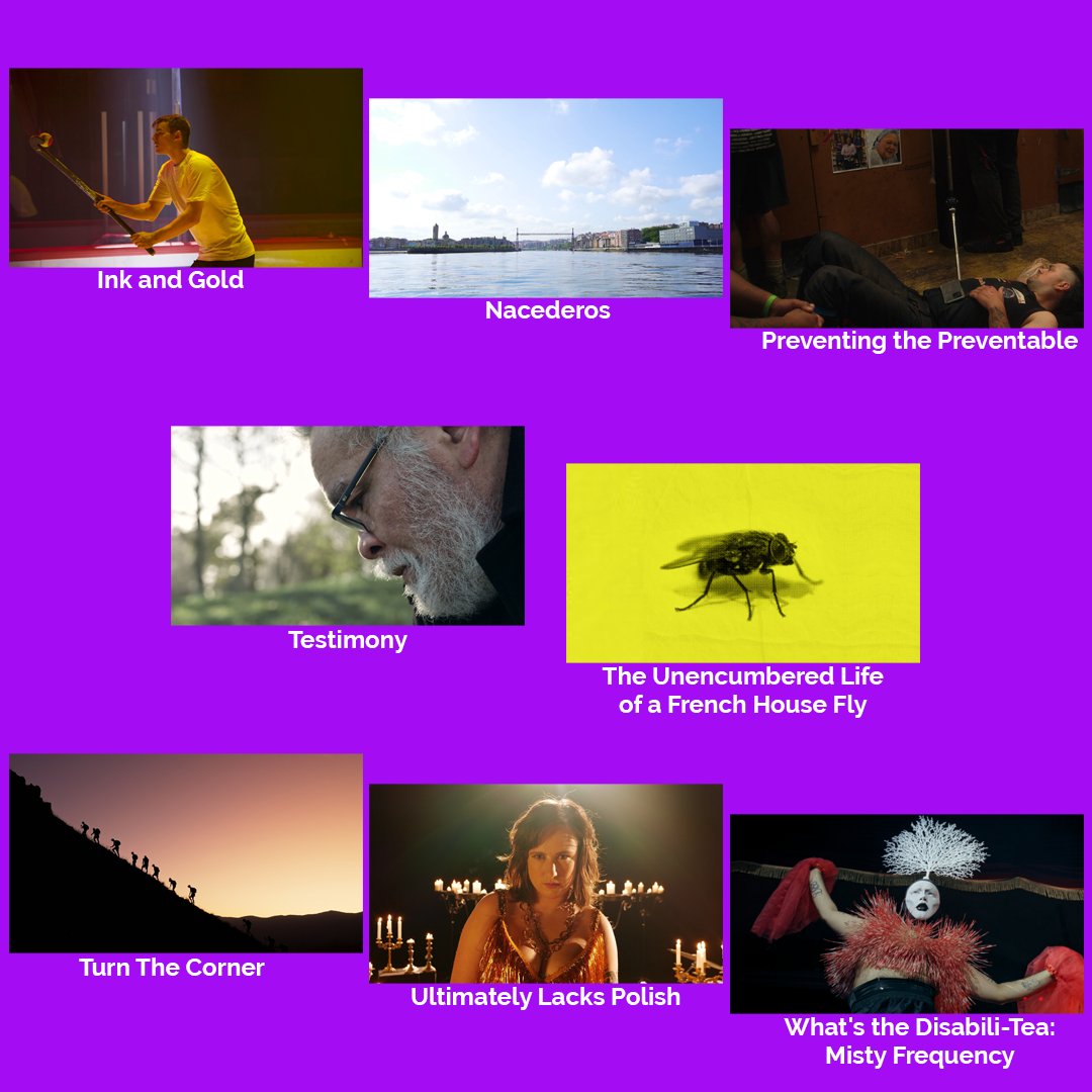 NZWebFest's tweet photo. Here's our 2nd short film line-up
Docos
@inkandgoldmovie
Nacederos
Preventing the Preventable
Testimony from @LoadingDocs
The Unencumbered Life of a French House Fly
Turn The Corner
Ultimately Lacks Polish
What's the Disabili-Tea: Misty Frequency by @attitude_tv

👏🎬👍🎬👏 https://t.co/RaGwMek4lf
