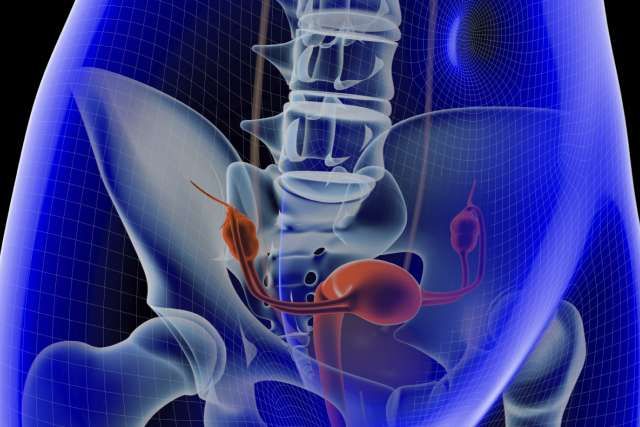 UniversalSurge1's tweet photo. Minimally invasive #gynecologic #surgery long on #patient #benefits, including more options 
Read more: https://t.co/aoMxOBiAbc 
share your paper on: https://t.co/7f9IQq9XFt 
#ipjus 
#manuscript 
#reseach 
#Minimally #Invasive #Surgery https://t.co/jpKYfeEx9m