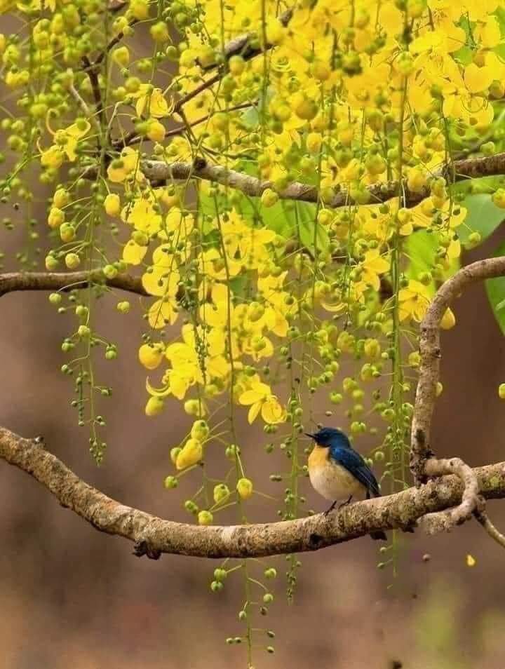 Karene Benbow (@benbowkarene) on Twitter photo 