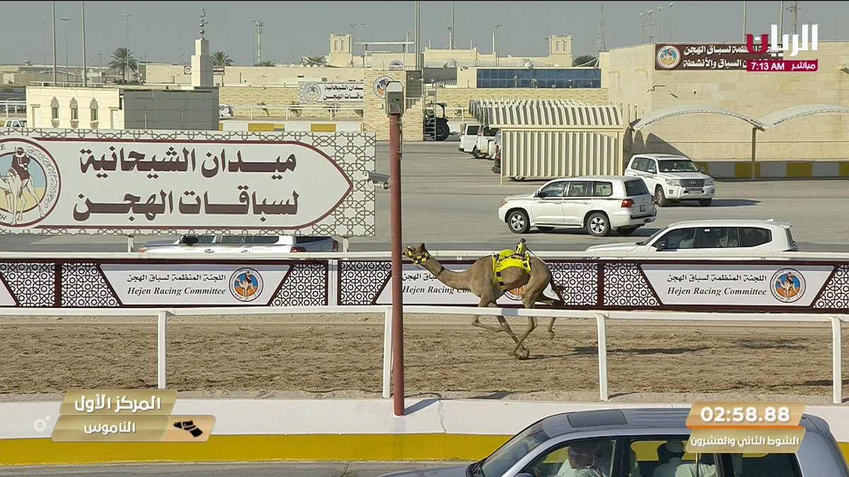 labregahaccount's tweet photo. ش22 الغاريه لـ علي محمد علي ابوشارب المري (|السباق المحلي الأول) 2-9-2023ص حقايق بكار إنتاج 2:58:88
https://t.co/4U4MddZtD4 https://t.co/36PfC0FZ9j