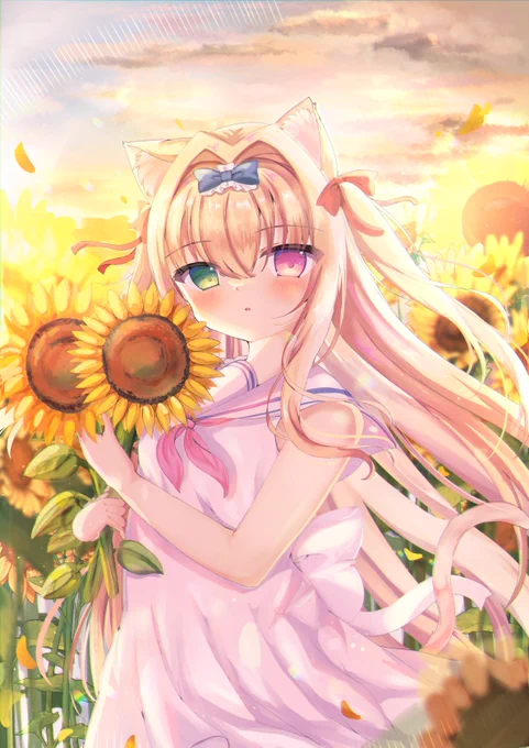 夏の終わり 