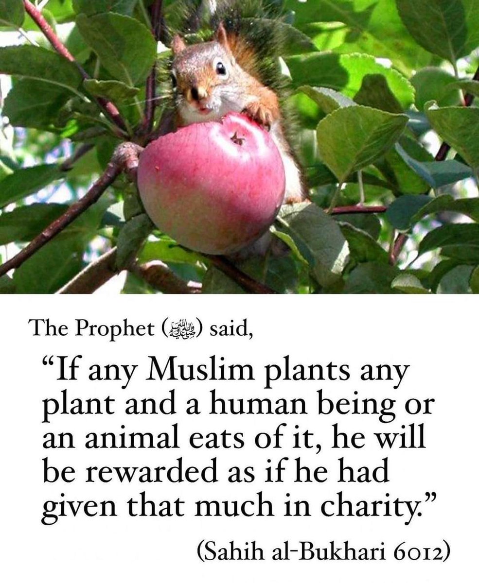 ┌───────***───────┐
    𝗗𝗔𝗜𝗟𝗬 𝗔𝗨𝗧𝗛𝗘𝗡𝗧𝗜𝗖 𝗛𝗔𝗗𝗜𝗧𝗛 
└───────***───────┘