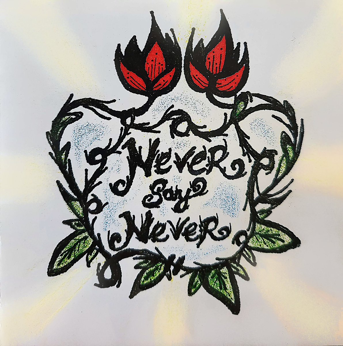 badselfrecords's tweet photo. Born in 1999. Seeing the light of day (or at least the internet) in 2023. Lovers of #punk go get some great #hardrock &amp; #metal -influenced late-90s #hardcorepunk you’ve never heard.

Search “Never Say Never In The Beginning” on your favorite platform to stream or buy. https://t.co/vZkN1EvflF