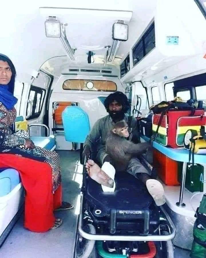 ملک کی 73 سالہ تاریخ میں صرف ایک ادارہ ملا ہے جو غریب امیر کالے گورے کا فرق نہیں کرتا
 ريسکیو 1122❤