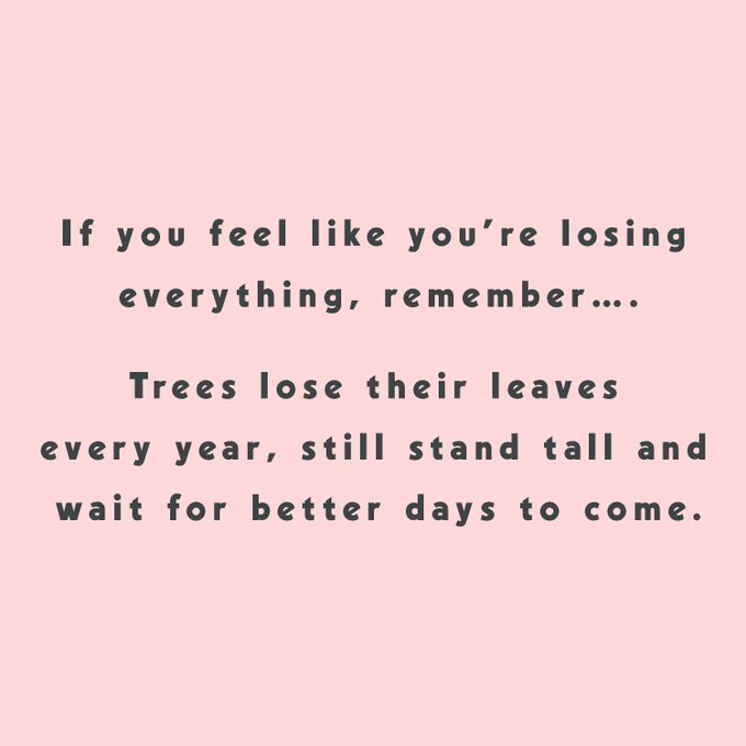 If you feel like you're losing everything, remember... Trees lose their leaves every year, still stand<a href="/tag/lifehacks"class="tags"><span>#lifehacks</span></a><a href="/tag/eternalmuse"class="tags"><span>#eternalmuse</span></a><a href="/tag/heatlesscurls"class="tags"><span>#heatlesscurls</span></a><a href="/tag/heatl"class="tags"><span>#heatl</span></a>