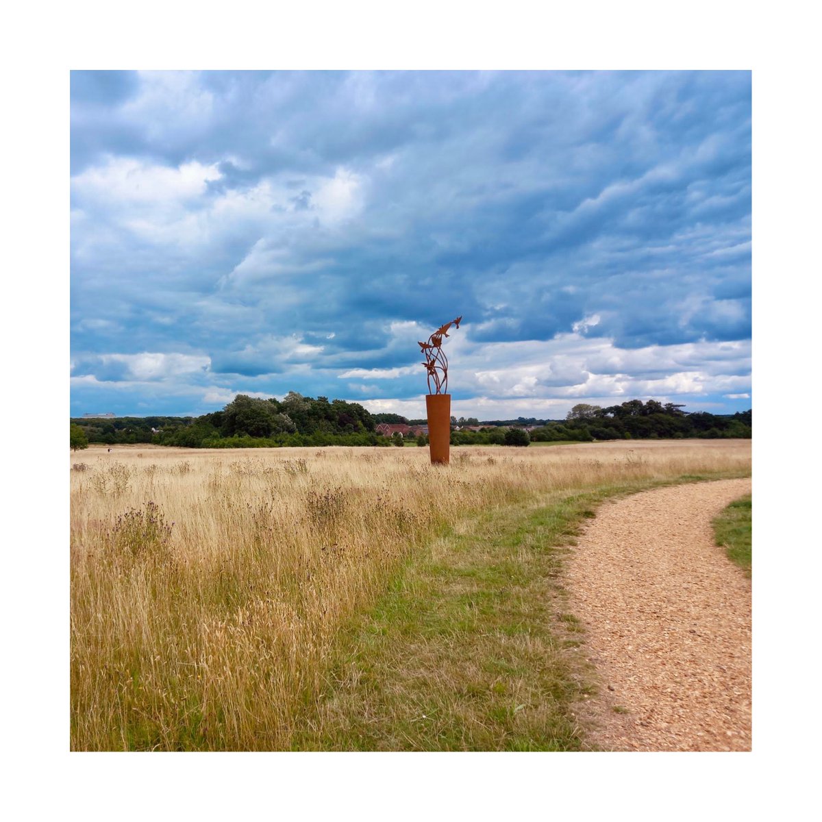 S K Y L A R K S​​​​​​​​​​​​​​​​​​

HUGE thanks to Ranger Alex Veness for sending this beautiful photo of one of my 2x Corten Steel Skylark sculptures at Peacock Meadows in Berkshire.

They were installed in the winter and it’s SO wonderful to see them now in the summer meadow.

5