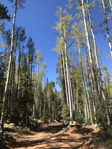 Our final Hike of the summer is Dry Lake Hills: a 3 mile lightly trafficked out and back trail that offers the chance to see wildlife and is good for all skill levels. The trail is primarily used for hiking, running, and mountain biking. #happyhiking hil.tn/uzbqy5