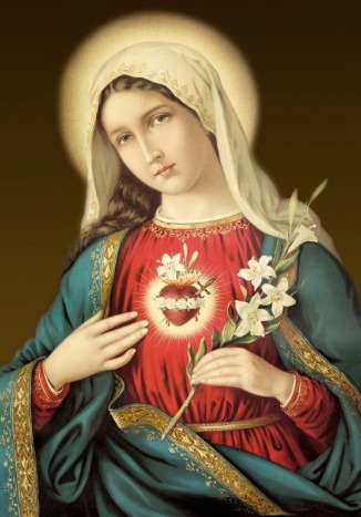 Let us offer one Hail Mary and entrust ourselves to the Immaculate Heart of our Heavenly Mother.
Please comment Amen as response. 
 #firstsaturday  #Immaculateheart #mothermary #prayer #rosary