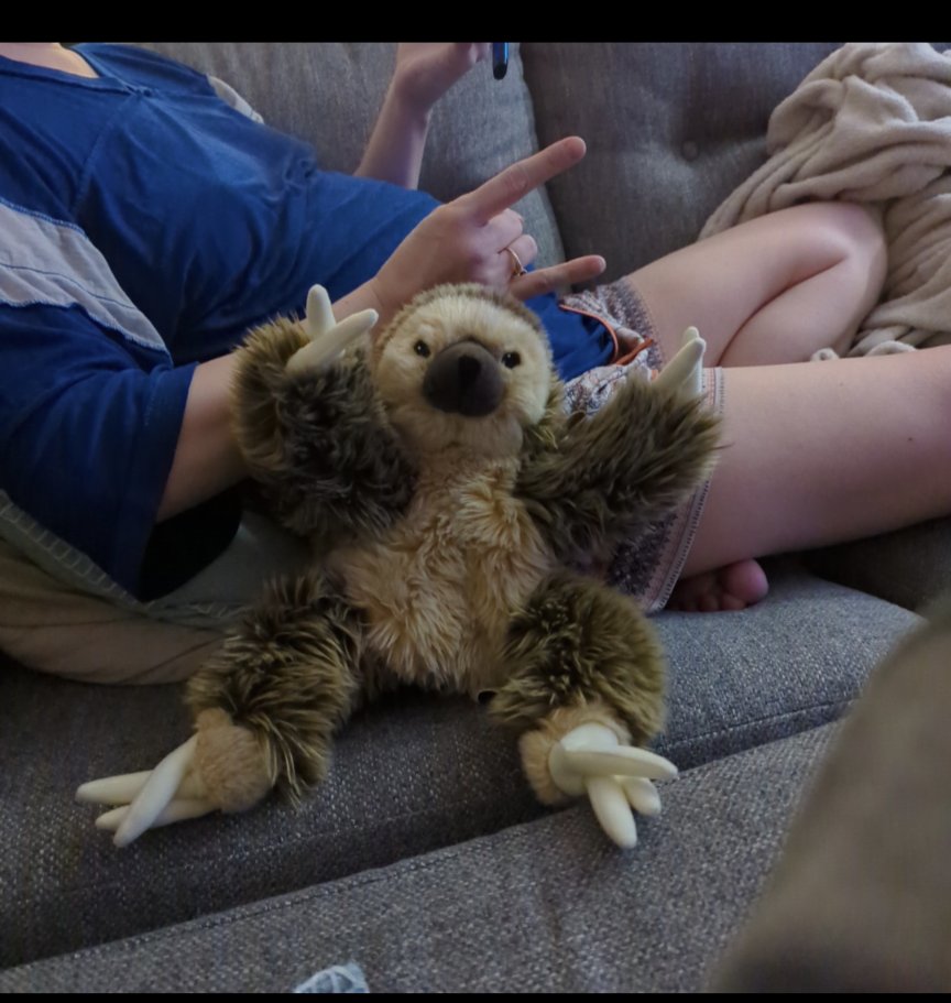 dougiemacaskill's tweet photo. @DavidLeeRoth 
Meet David Lee Sloth https://t.co/gCCx6piKug