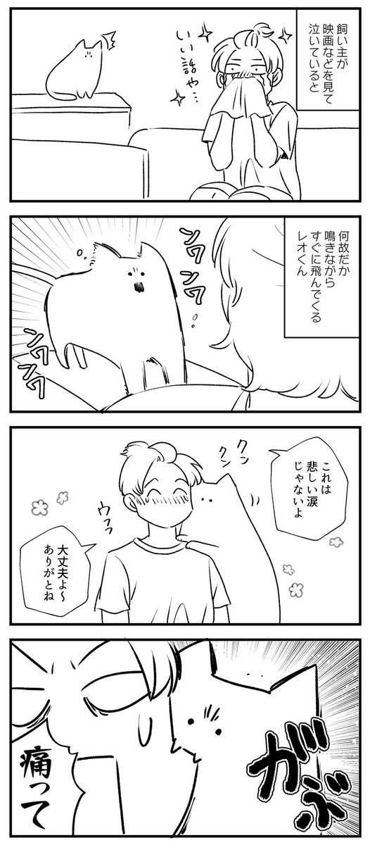 バラティエを離れるサンジのシーンを見て嗚咽を漏らしながら泣いていたときの私とレオくん 