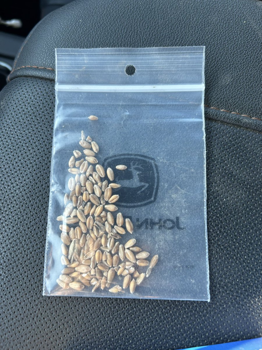 Got to run the X9 1100 on some 95 bushel wheat today. Some more very impressive results and helped the customer put more grain in the bin, losses at 5.9 grams or less than .65 bushels per acre.