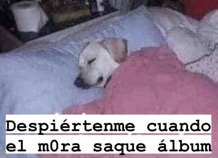 Clubi tweet media
