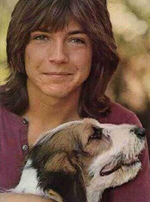 Linda_57's tweet photo. #DavidCassidy❤️
#NationaDogDay https://t.co/f7dXKoxQK3