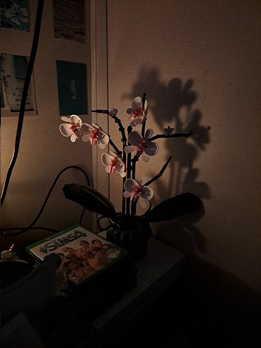 Lego flowers 🤍