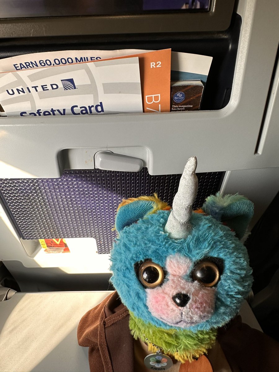 YLara1's tweet photo. Mission accomplished; time to go home!!! @JuniperNetworks @JuniperPartners #ParagonAutomation #jkitty https://t.co/ZosugEISCD