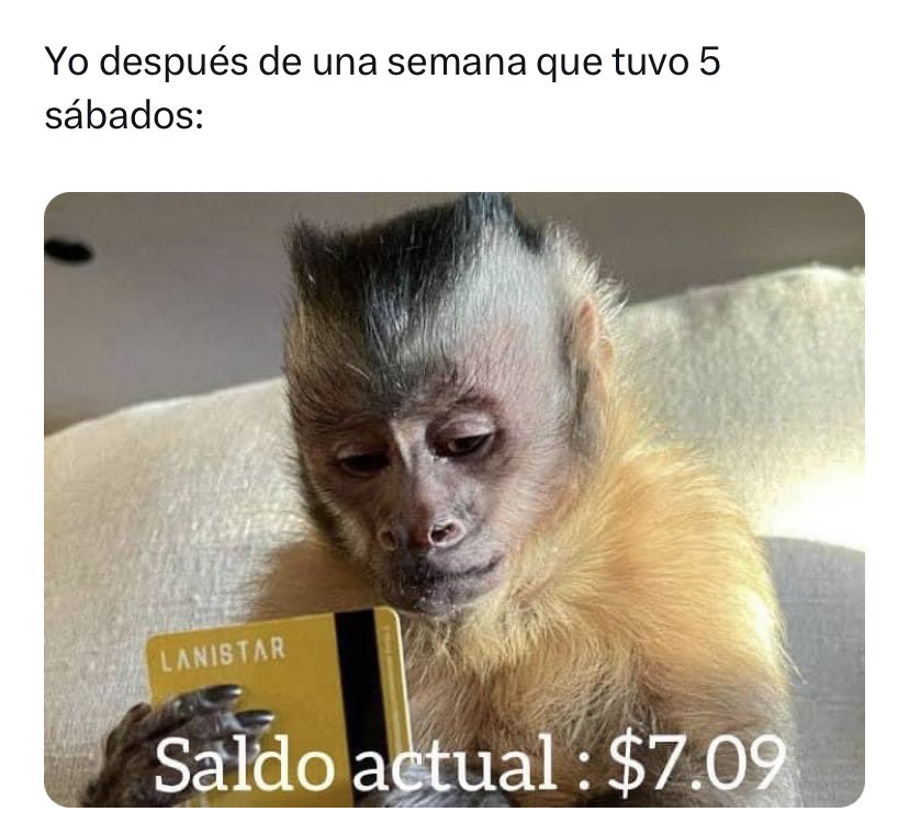 Yeraldin Jiménez tweet media