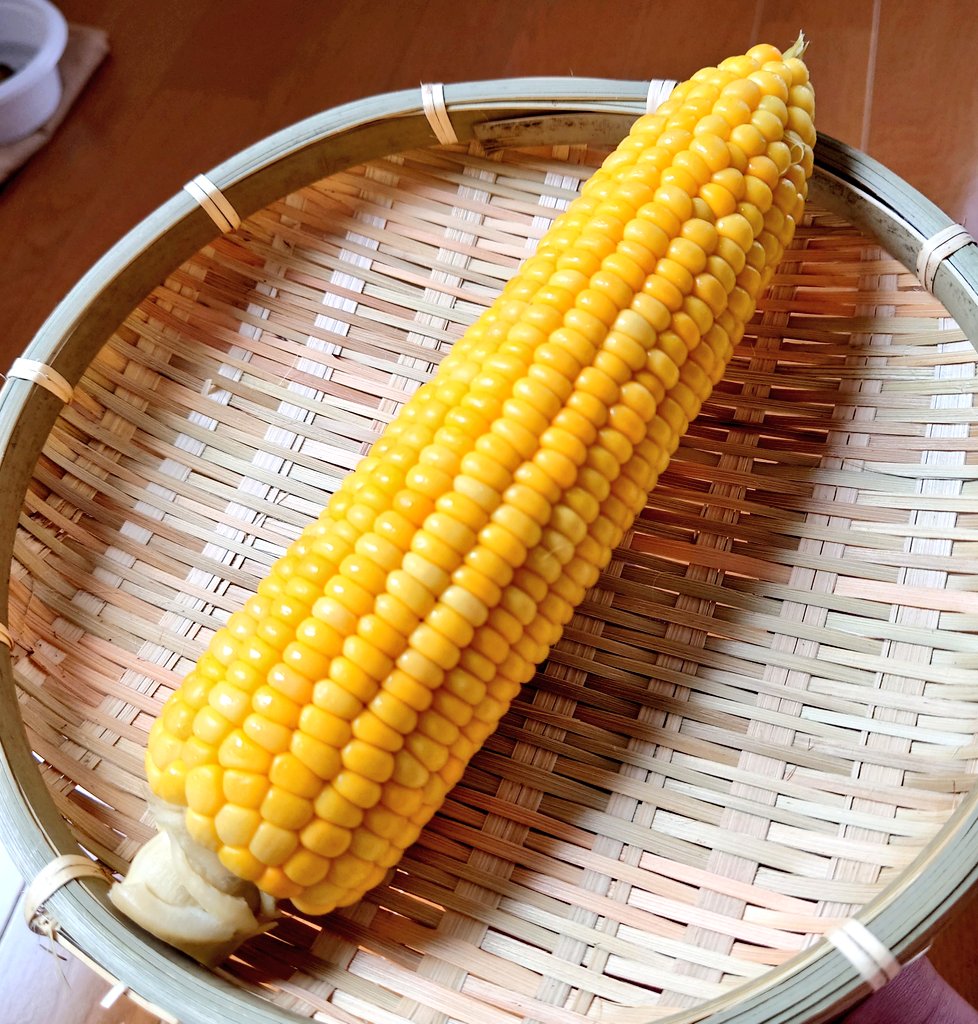 mare680306's tweet photo. 夏が終わらない🌽 https://t.co/HnEal8q65M
