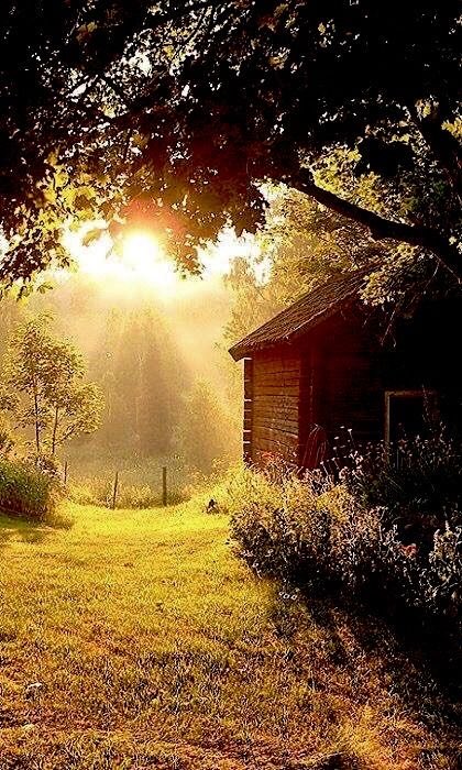 KatanaHugo's tweet photo. Have a very good day friends !
#photos #photography #goodday #sunrise https://t.co/Y1MjY0GiwD